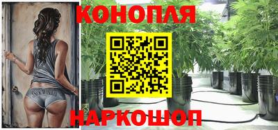 ПСИЛОЦИБИНОВЫЕ ГРИБЫ Можга
