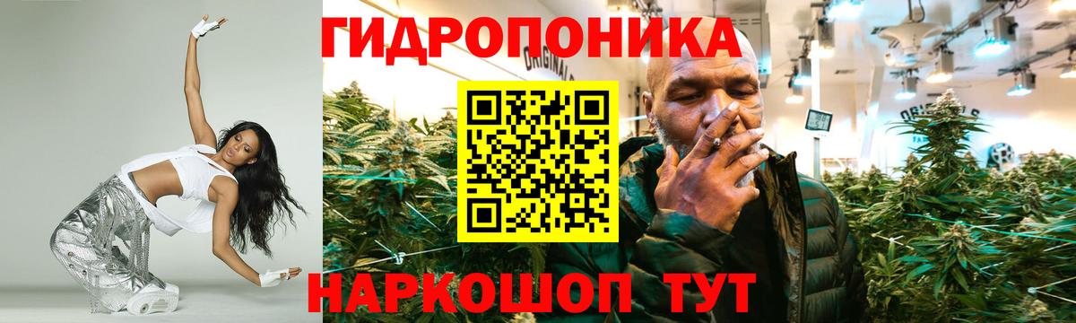 Бошки марихуана план  Бошки Шишки OG Kush  Урюпинск  Канабис VHQ  Вход с VPN 